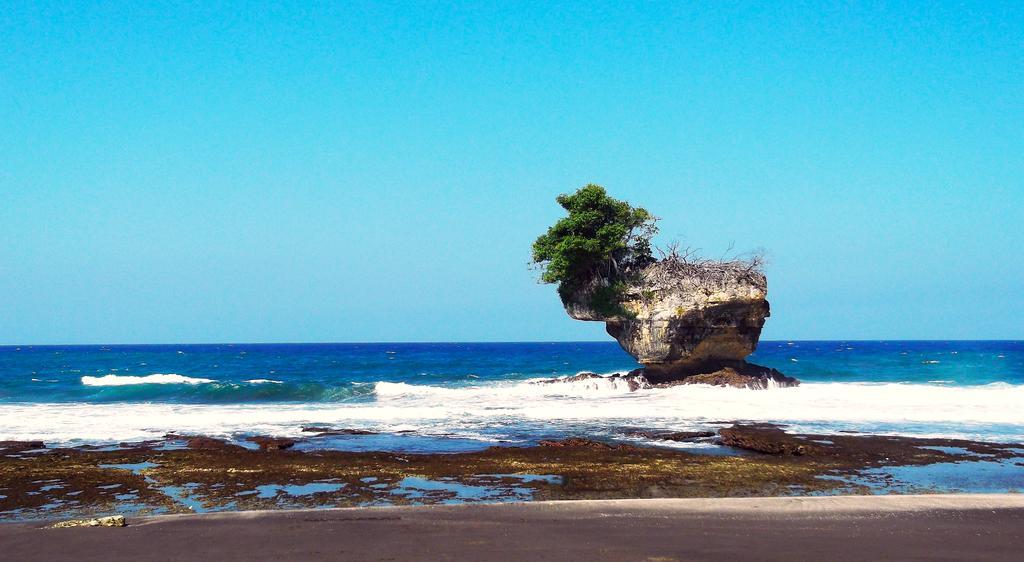 Ragha Homestay Batukaras المظهر الخارجي الصورة
